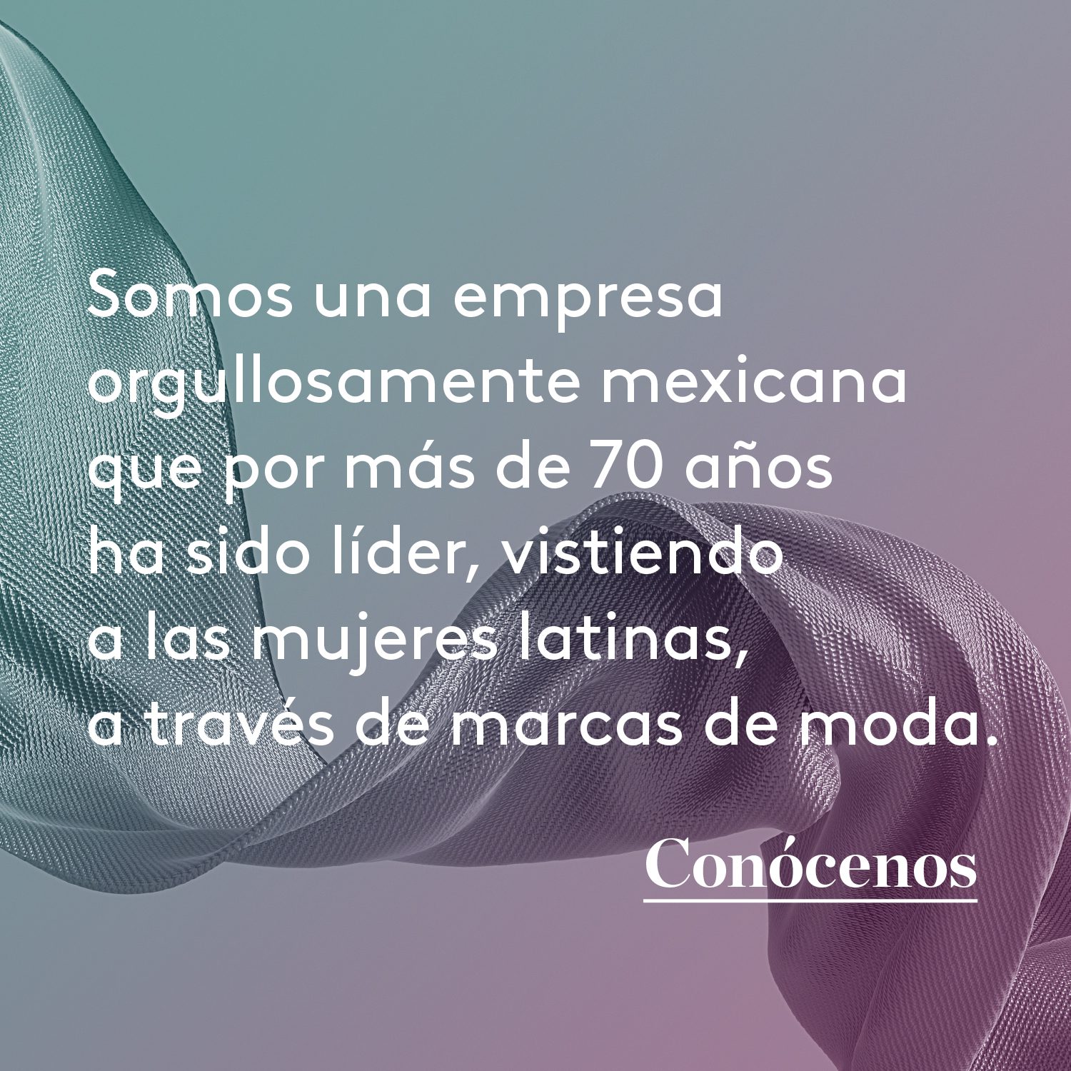 Quiénes Somos Diltex Brands