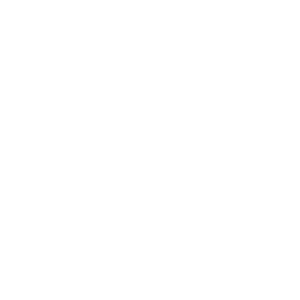Vassarette - Diltex brands